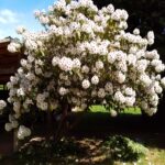 IMG 20251112 151444 1 150x150